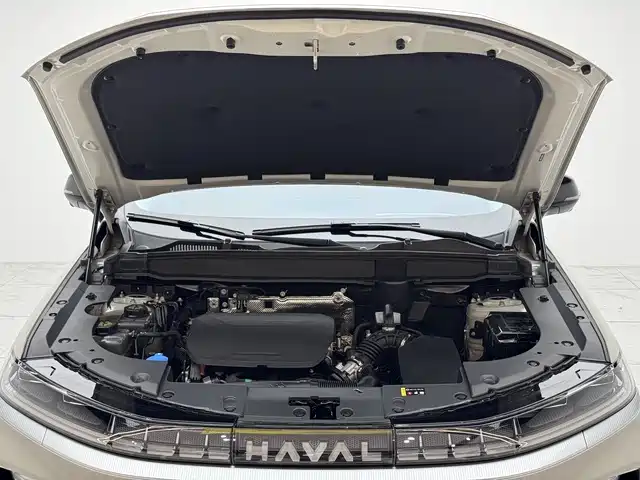 Haval Xiaolong MAX 2025 — фото 15