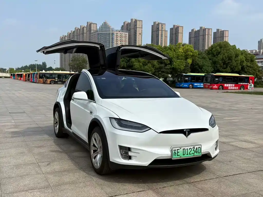 Tesla Model X 2019