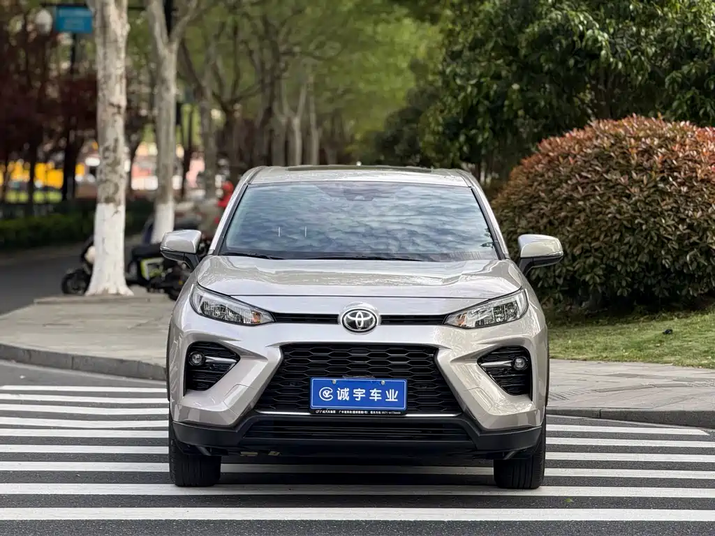 Toyota Wildlander 2020