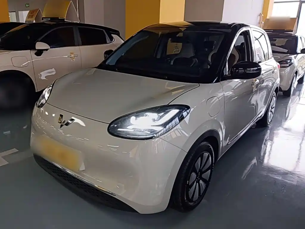 Wuling Bingo 2024
