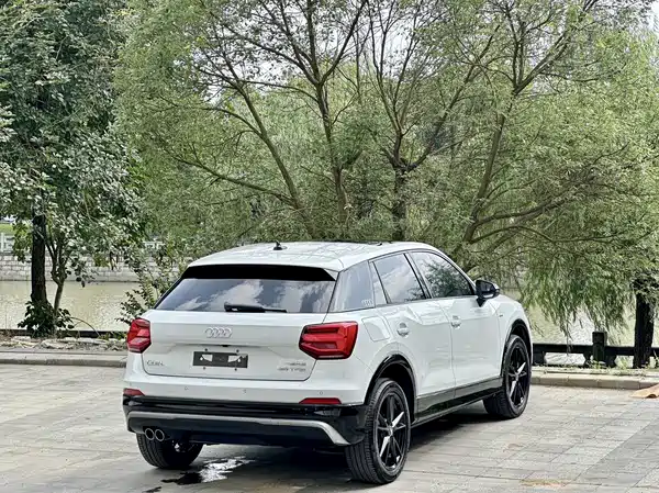 Audi Q2L 2020