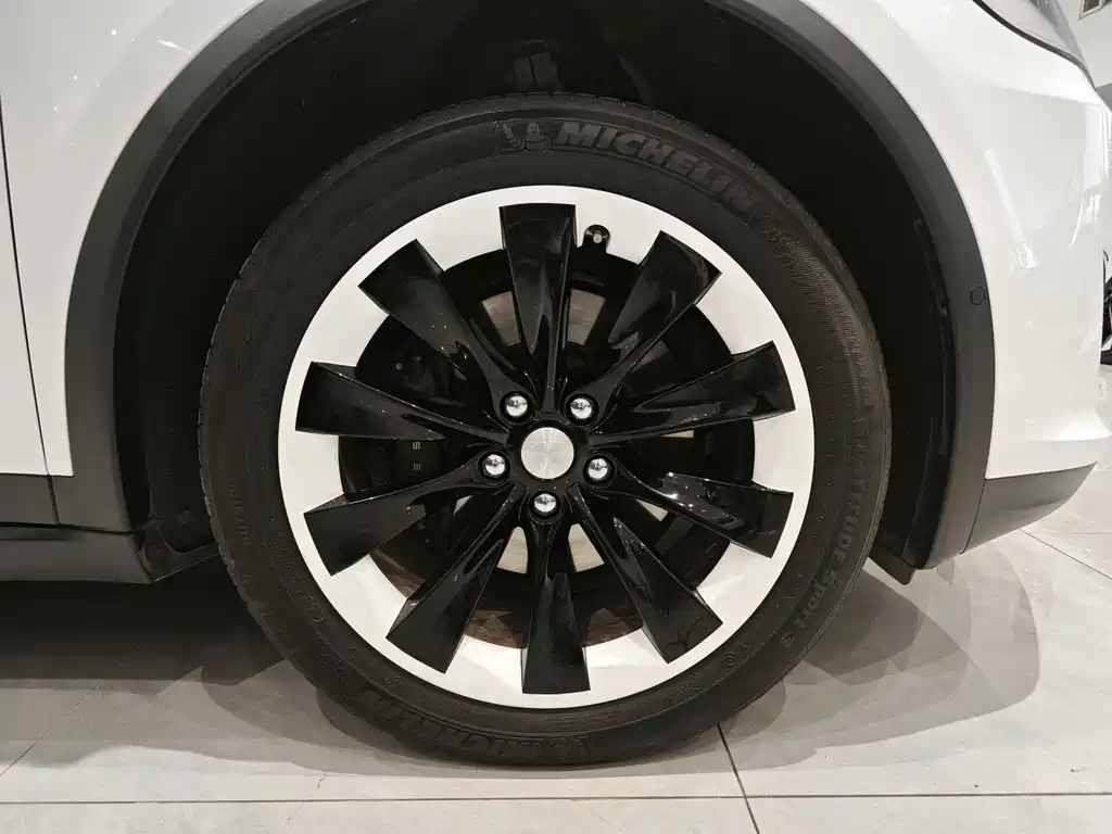 Tesla Model X 2020 — фото 11