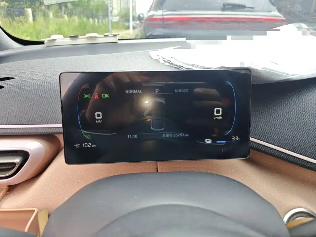 BYD Seagull 2024