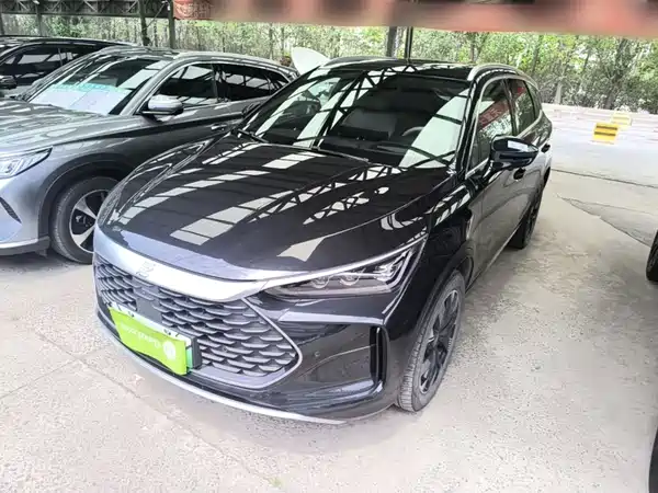 BYD Tang New Energy 2024