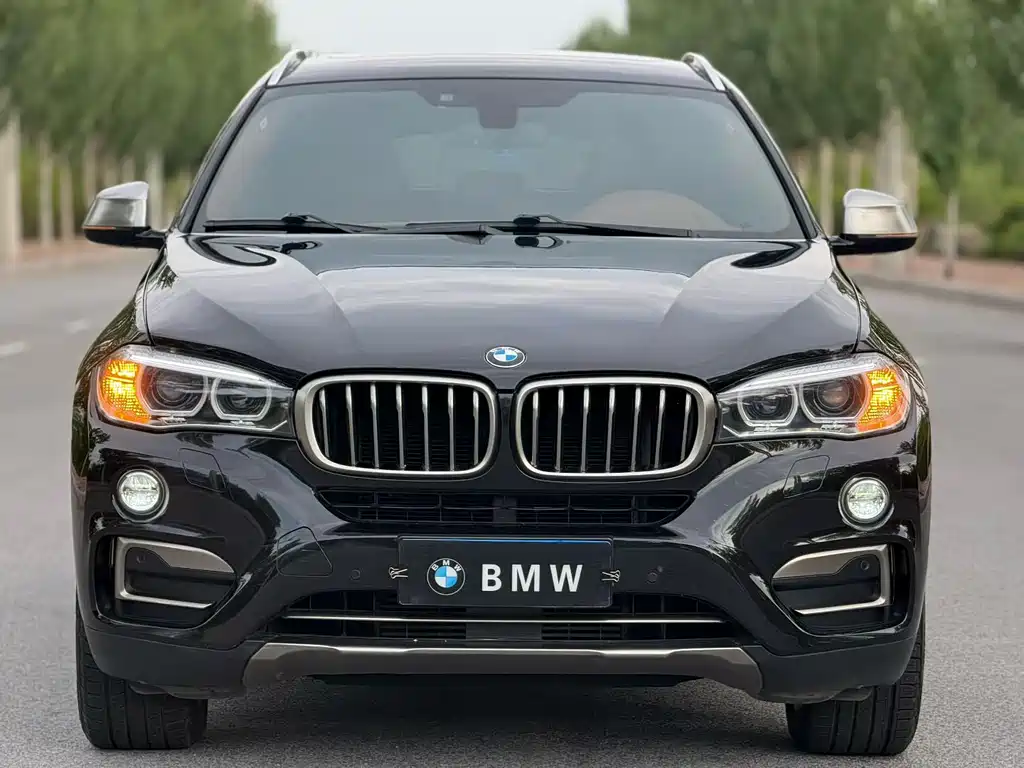 BMW X6 2017 — фото 2