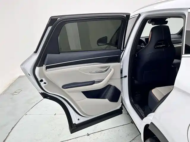 BYD PLUS New Energy 2023 — фото 12