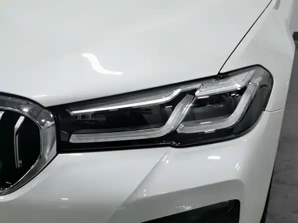 BMW 5 Series New Energy 2022
