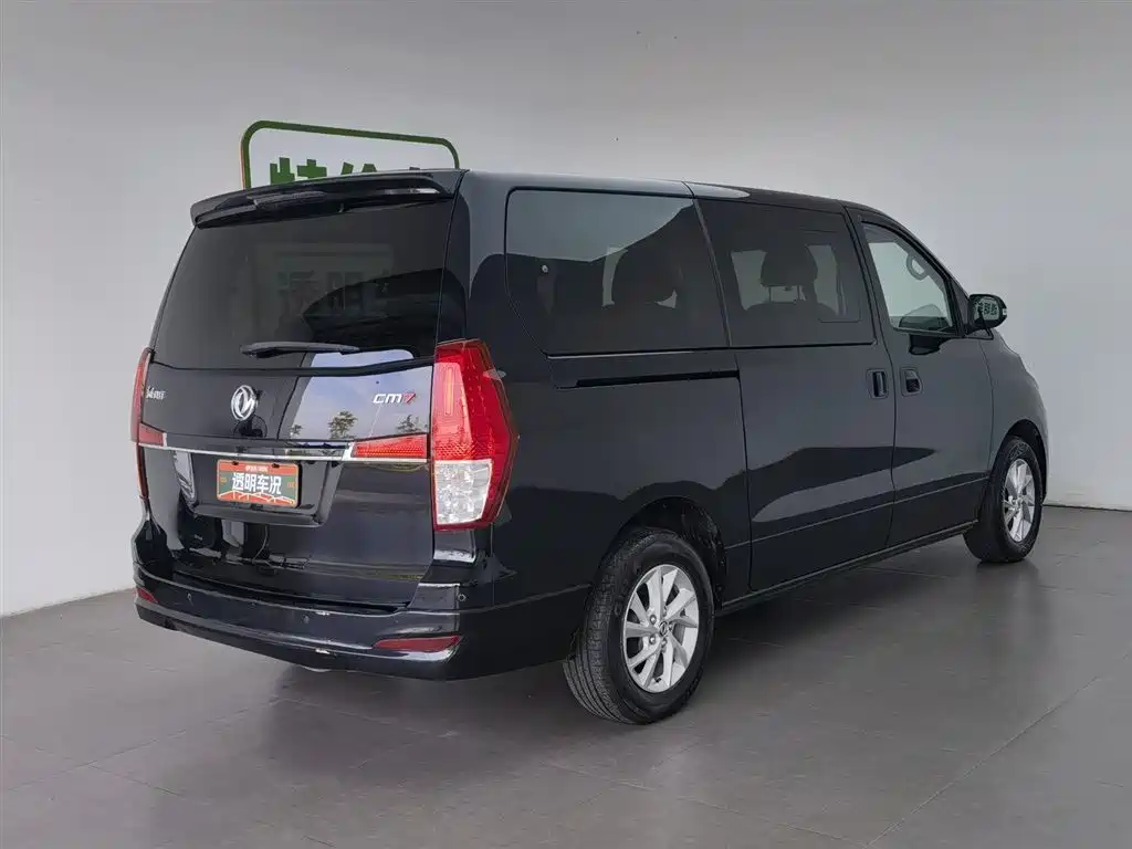 Fengxing Lingzhi PLUS 2020