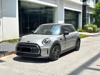 MINI MINI 2024