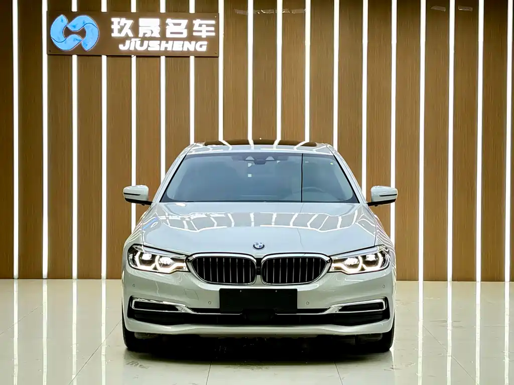 BMW 5 Series New Energy 2019