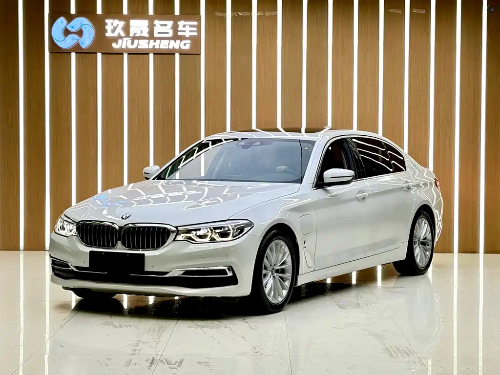 BMW 5 Series New Energy 2019