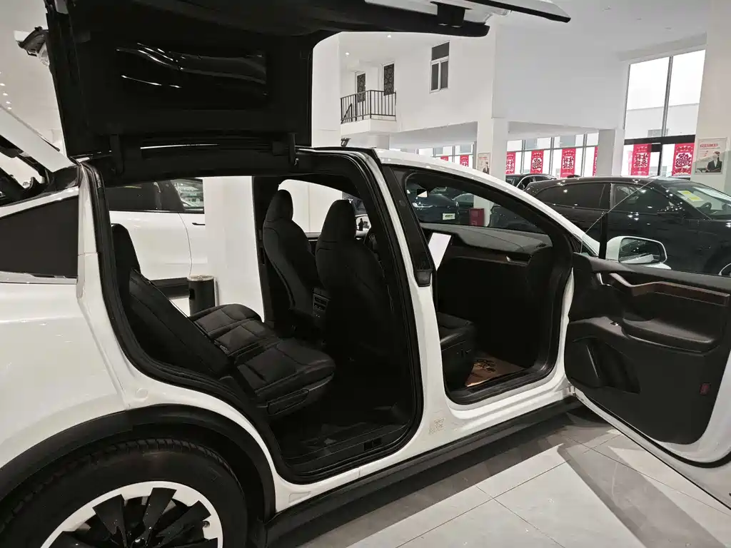 Tesla Model X 2020 — фото 8