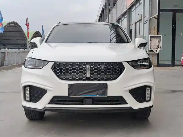 Wey VV5 2020