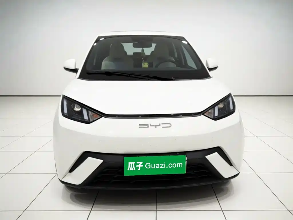 BYD Seagull 2023
