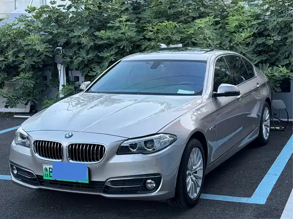 BMW 5 Series New Energy 2016