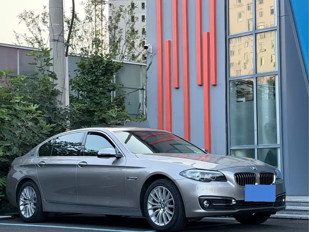 BMW 5 Series New Energy 2016 — фото 16