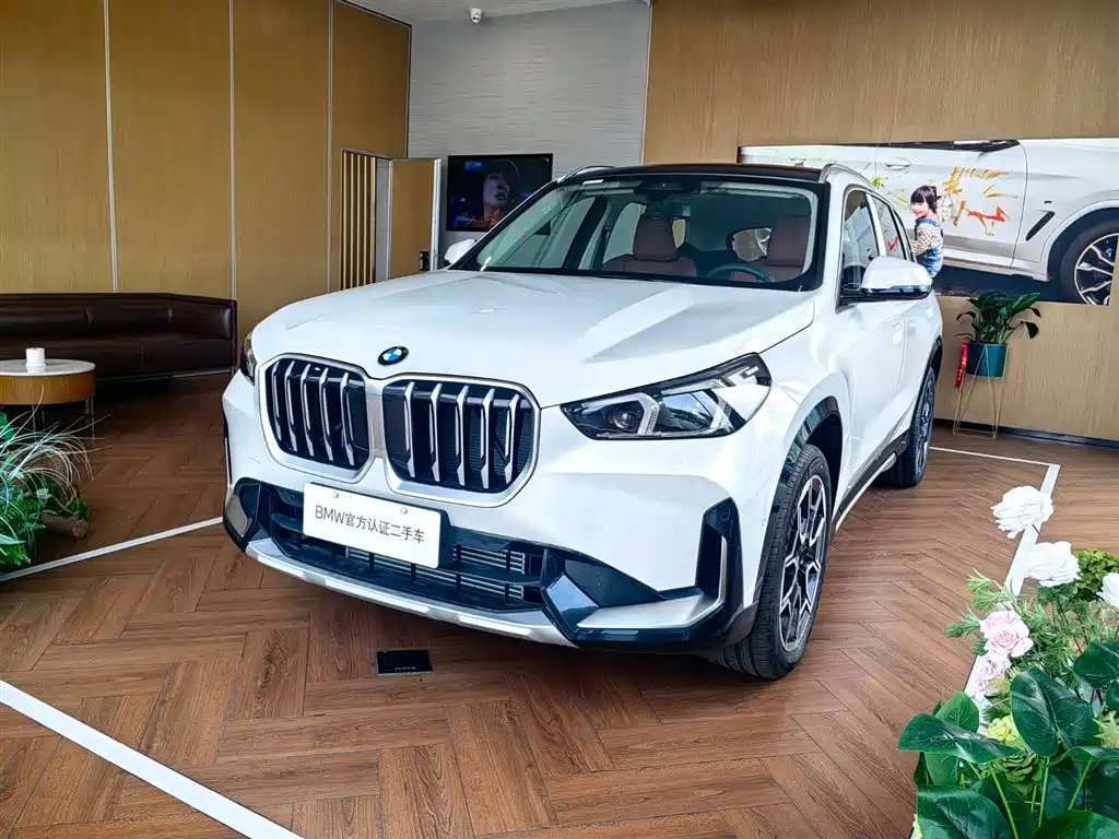BMW X1 — фото 1