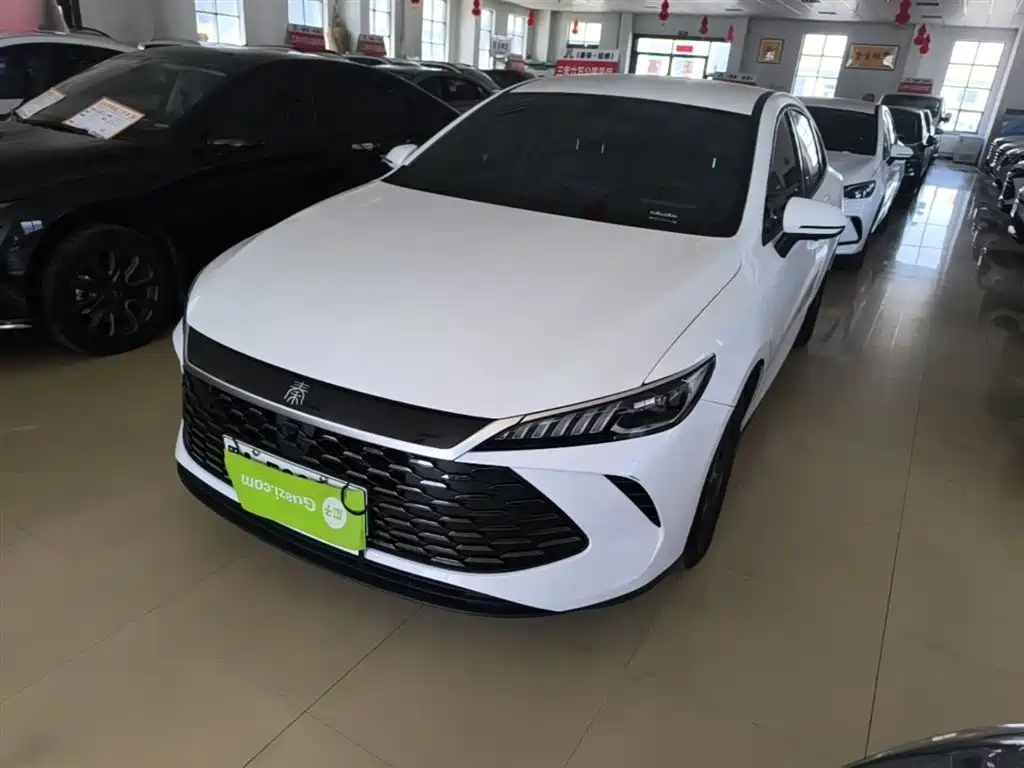 BYD Qin PLUS 2025 — фото 1