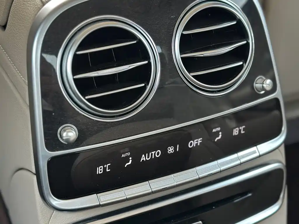 Mercedes-Benz S-Class 2020 — фото 19