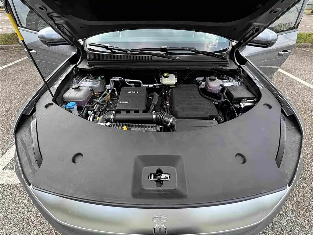 BYD Song Pro New Energy 2026 — фото 41
