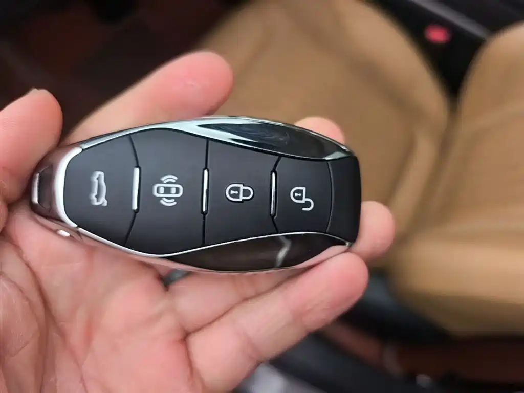 Hongqi HS5 2023 — фото 9