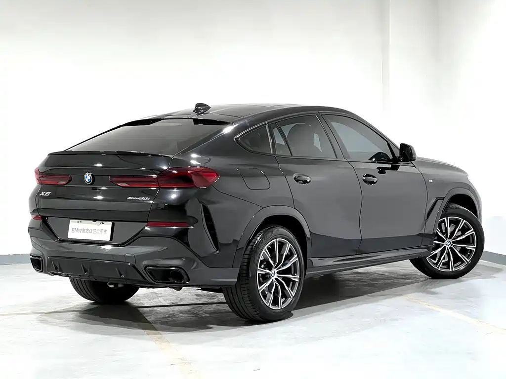BMW X6 2023 — фото 10