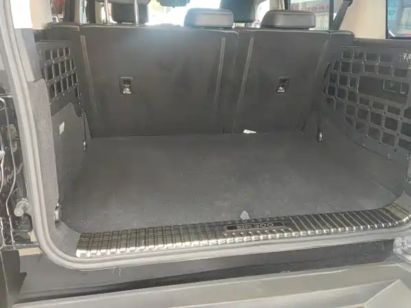 Tank 300 2021