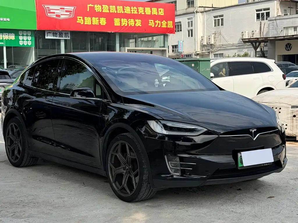 Tesla Model X 2019 — фото 6
