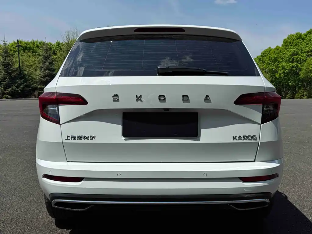 Skoda Karoq 2023 — фото 5