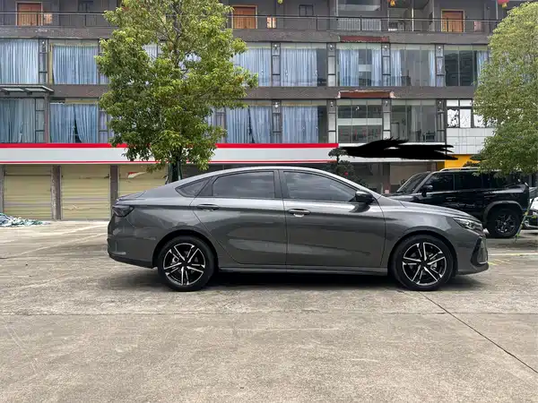 Geely Binrui 2024