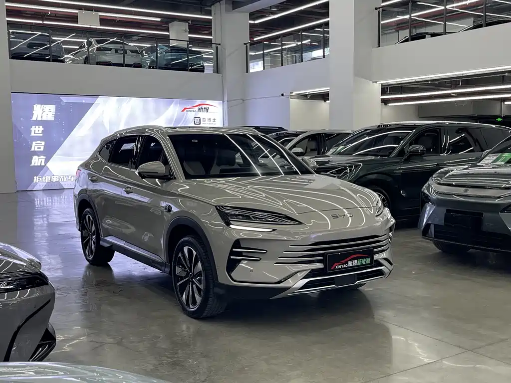 BYD PLUS New Energy 2025 — фото 7