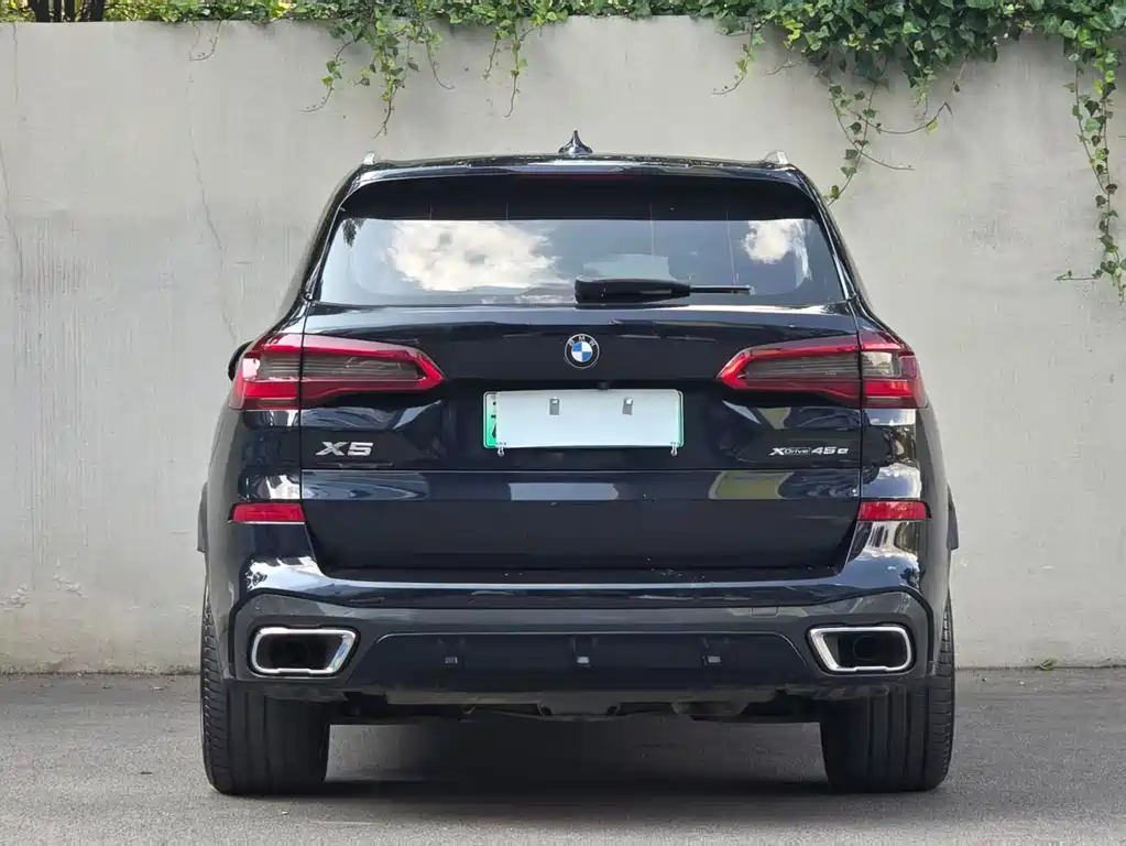 BMW X5 New Energy 2020 — фото 52