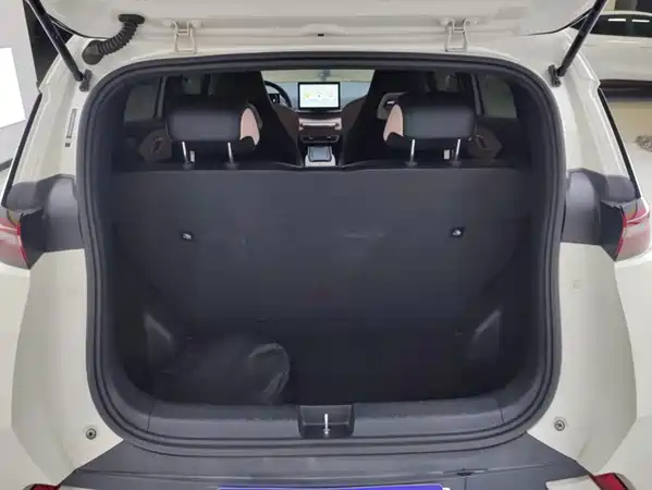 BYD Seagull 2024