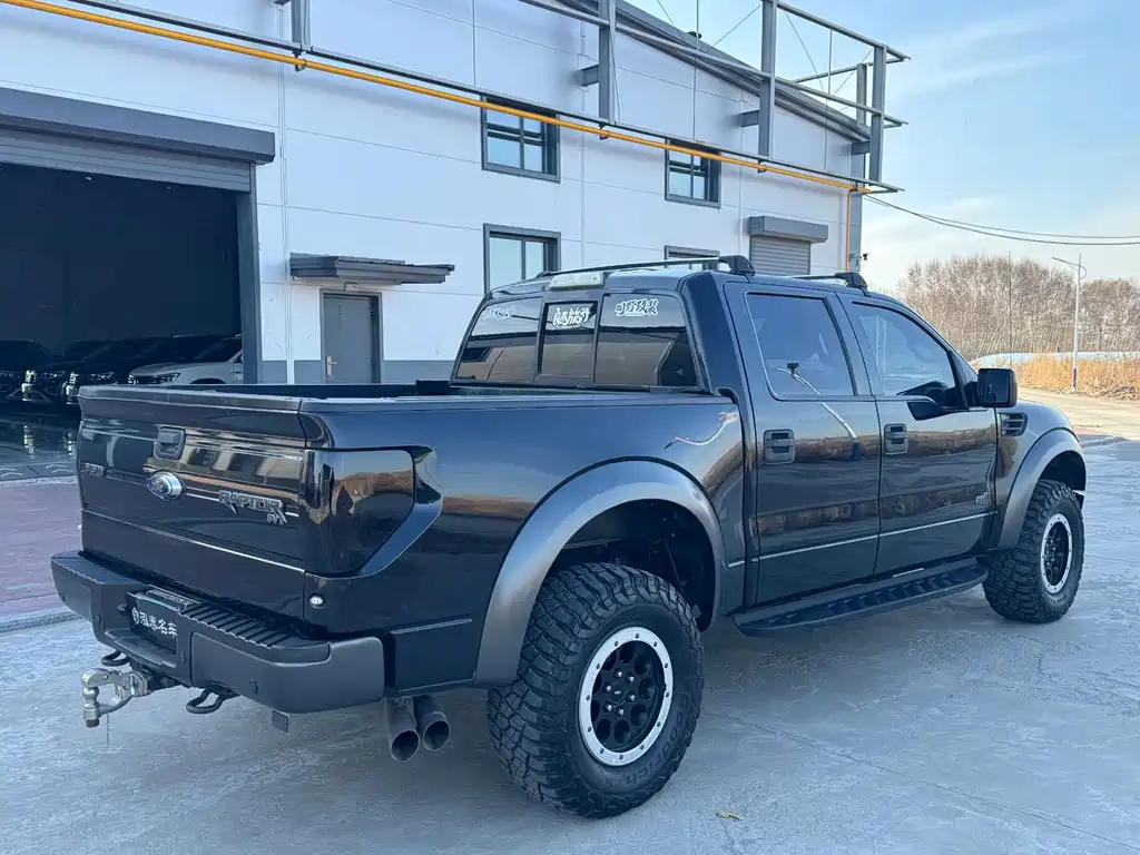 Ford F-150 Raptor 2015 — фото 6