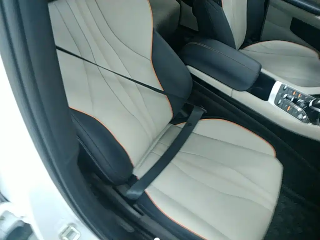 BYD PLUS New Energy 2022 — фото 25
