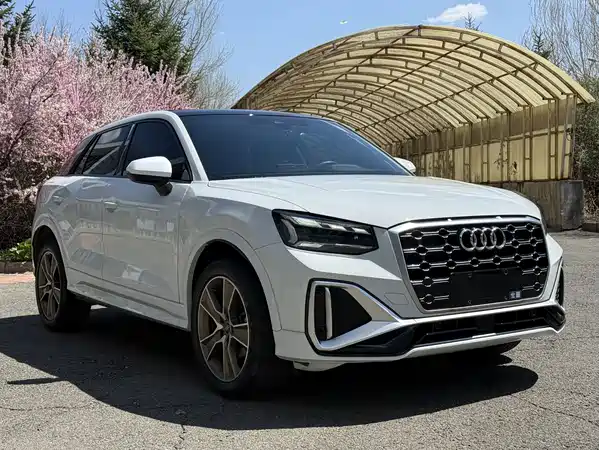 Audi Q2L 2022
