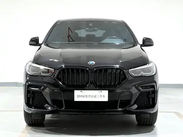 BMW X6 2022