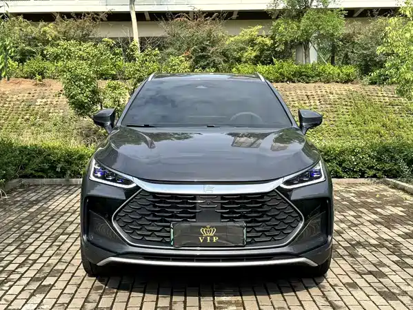 BYD Tang New Energy 2025