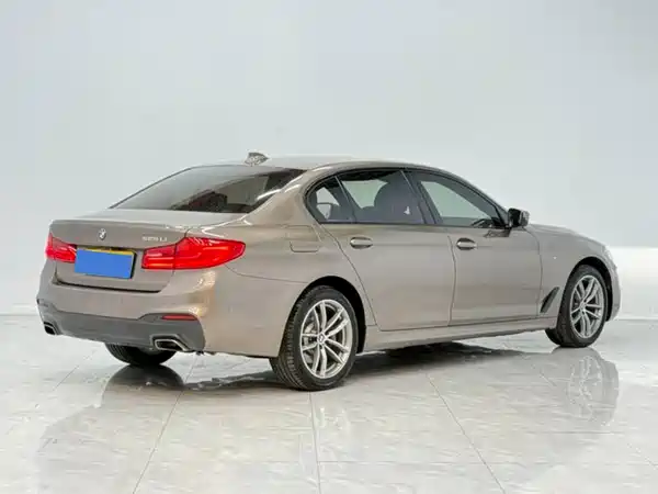 BMW 5 Series 2019