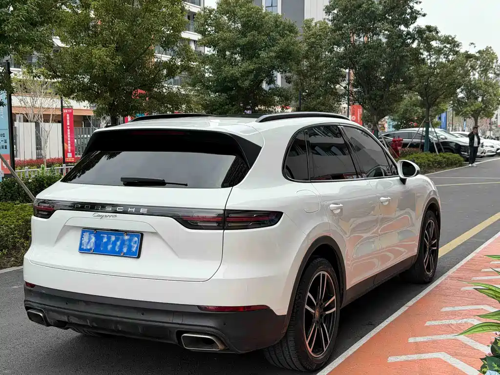 Porsche Cayenne 2020 — фото 10