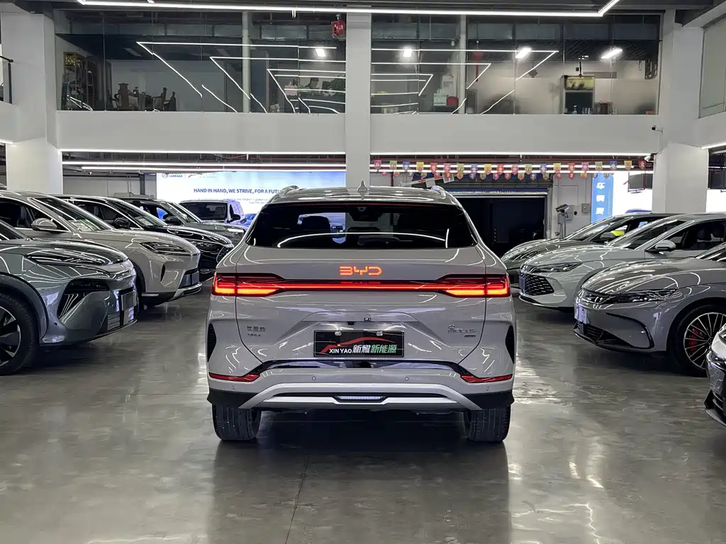 BYD PLUS New Energy 2025 — фото 4