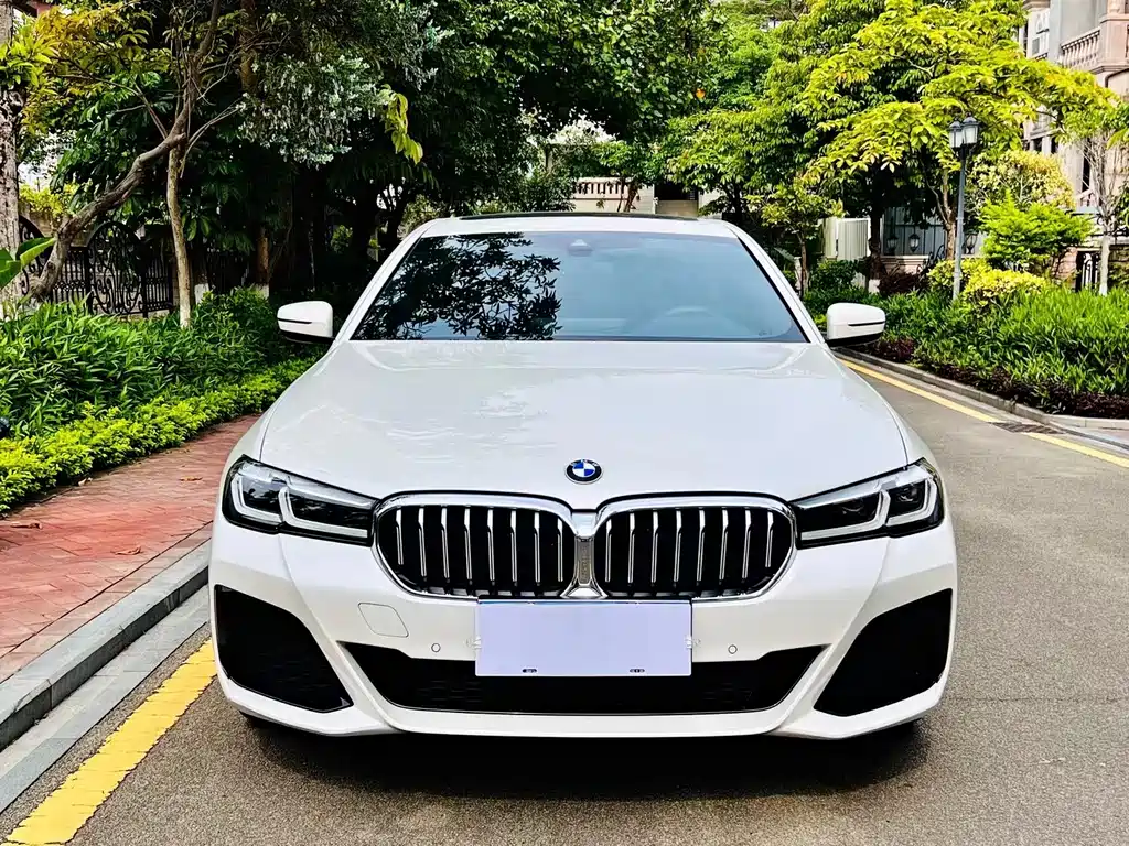 BMW 5 Series 2021