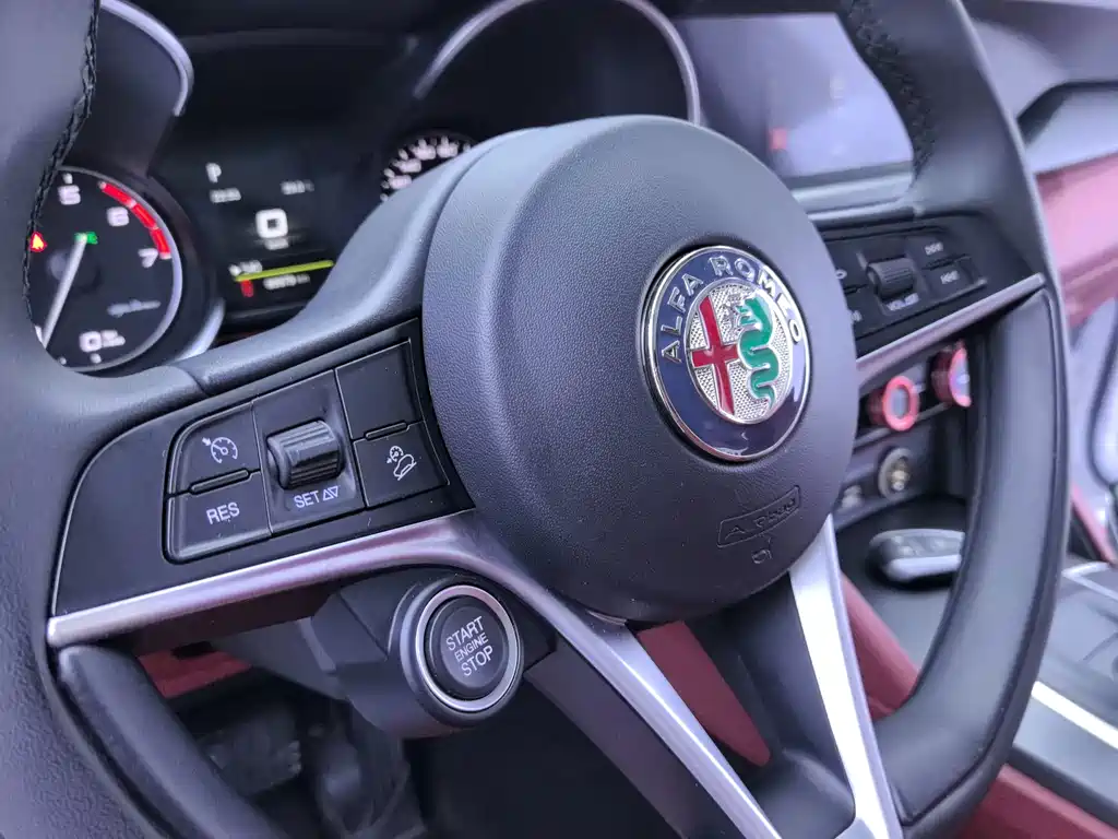 Alfa Romeo Stelvio 2019 — фото 15