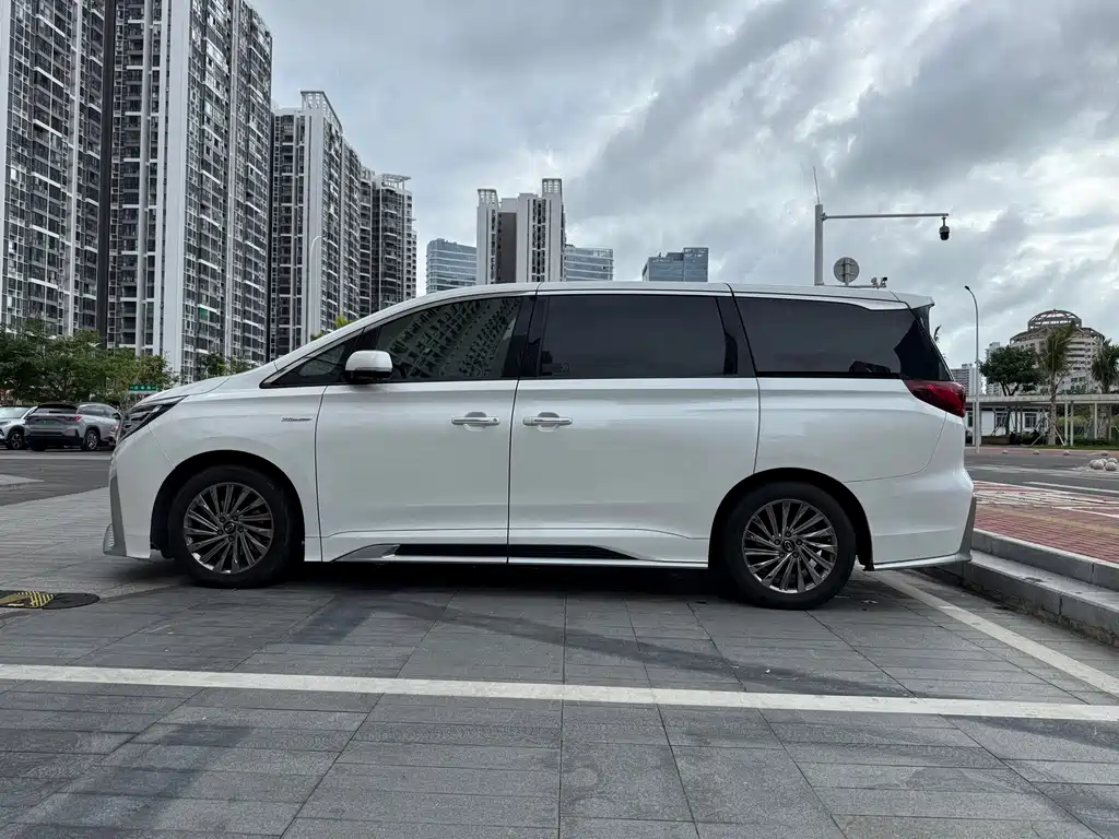 GAC Trumpchi M8 2021 — фото 5