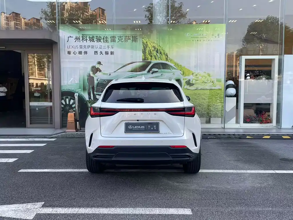 Lexus NX New Energy 2022 — фото 10