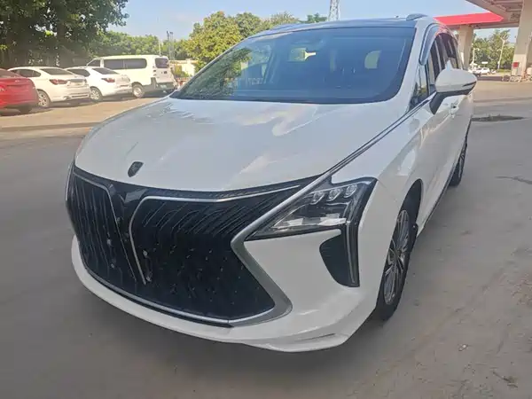 Dongfeng Popular Yacht 2023