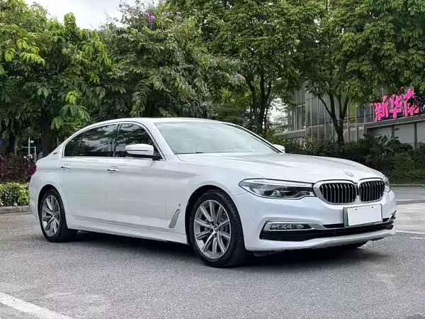 BMW 5 Series New Energy 2018
