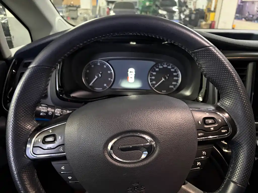 GAC Motor Trumpchi M8 2020 — фото 10