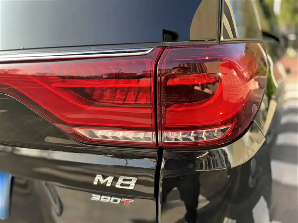 GAC Motor Trumpchi M8 2021 — фото 9