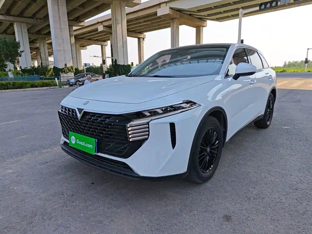 Venucia V 2022